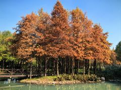 -尚贤河湿地