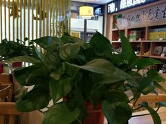 -素满香·素食自助餐厅(韩乐坊店)