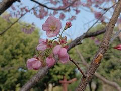 -堤角公园