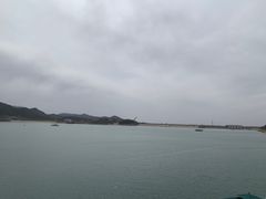 -望湖烤鱼
