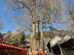 -潭柘寺景区
