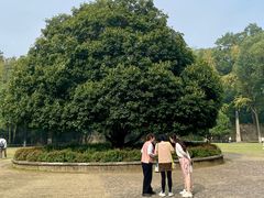 -灵谷景区