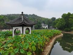 -宜兴张公洞