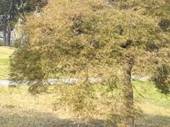 -白塘生态植物园