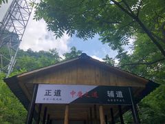 -青峰峡国家森林公园