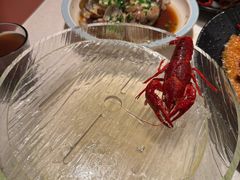-红盔甲·小龙虾(天钥桥店)