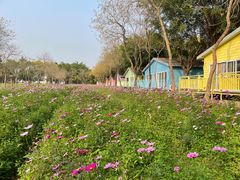 -广东花都香草世界旅游度假区