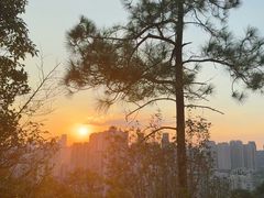 -桃花岭景区