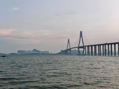 -中澳友谊花园