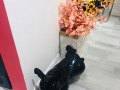 -肆兮眼镜·蔡司·徕卡战略合作店(大坪店)