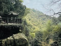-莫干山风景区