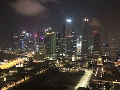 -新加坡瑞士史丹福酒店