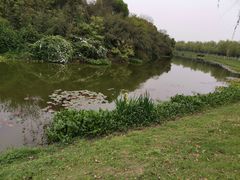 -艾溪湖湿地公园