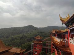 -东莞市大岭山森林公园