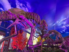 -诸城市恐龙博物馆
