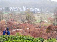 -塔川景区