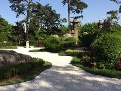 iphone_upload_pic-中国唐苑