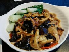 -云中小雅