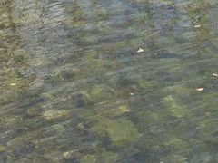 -渤海大学(松山校区)