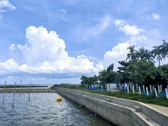 -东寨港红树林旅游区