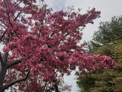-厦门高崎国际机场-T3航站楼