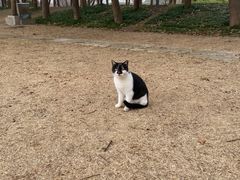 -同里国家湿地公园