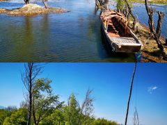 -洱海月湿地公园