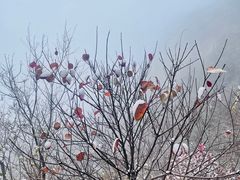 -潭溪山