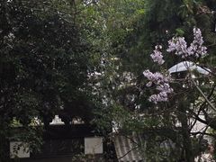 -云龙山