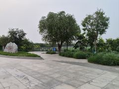 -天津东丽湖风景区