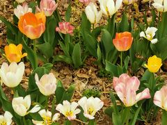 -长春公园(普阳街道)