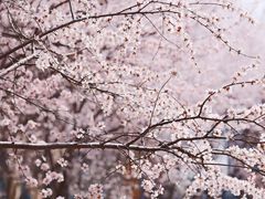 -太阳宫公园