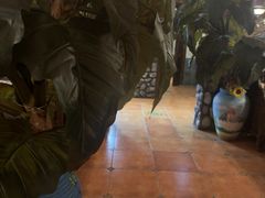 -凯撒城堡西餐厅(颐和国际店)