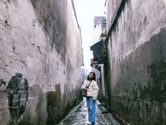 -乌镇东栅景区