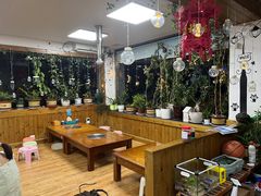 -亲昵春川鸡排(韩国美食街店)