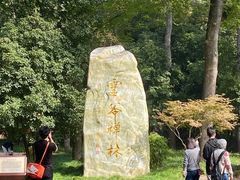-灵谷景区
