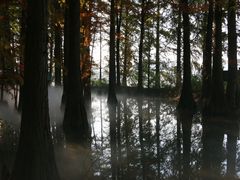 -东湖落雁景区