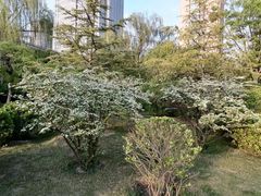 -迎泽公园