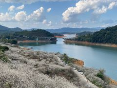 -广州市流溪河国家森林公园