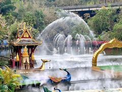 -西双版纳原始森林公园