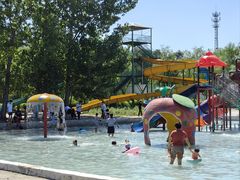 -东方巨龟苑景区