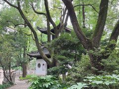 -汇龙潭