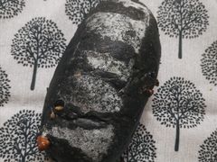 胖墨鱼奶酪面包-Juicy Bakery(大学路店)