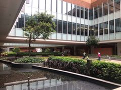 -香港大学