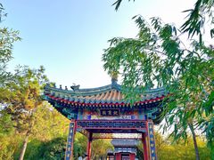 -武汉园博园(武汉自然博物馆)
