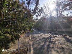 -八大关景区