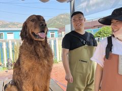 -趣玩宠物乐园寄养训犬训狗游泳池