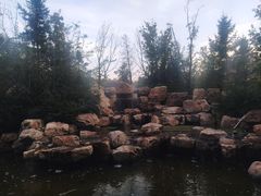 -S5游泳健身(水星引力店)