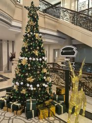 -Lumi露米·美甲美睫品质店