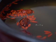 滋补汤底-花苑美食横琴生蚝火锅(拱北粤华路店)